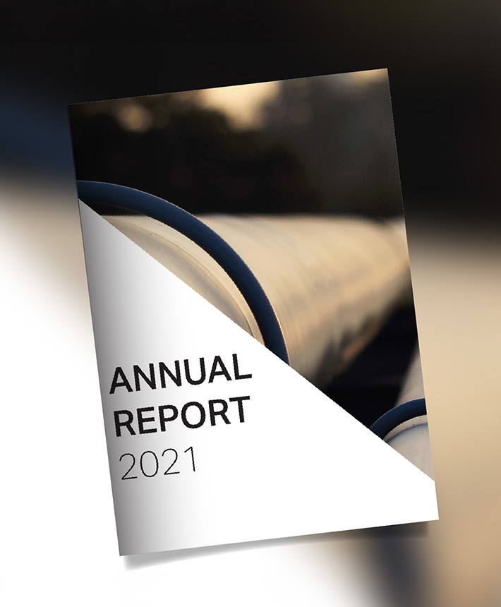 Annual report 2021