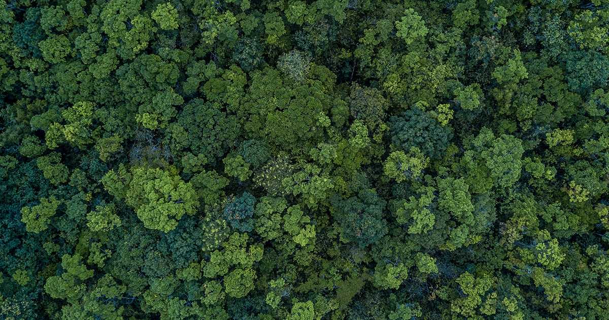 Marina Pitrenko porno Porno filmda qora tanli erkak va ukrainalik ayol